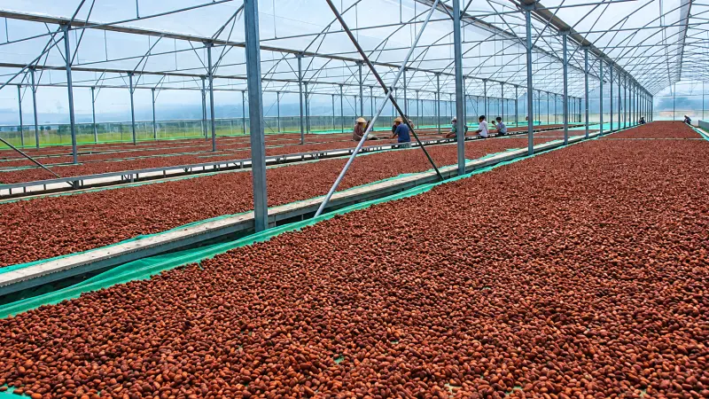 Xưởng đủ điều kiện sản xuất mỹ phẩm Ca cao Nông Lâm