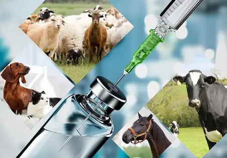 Dịch vụ tư vấn GMPc