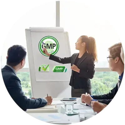 Đào tạo, lập hồ sơ cấp chứng nhận