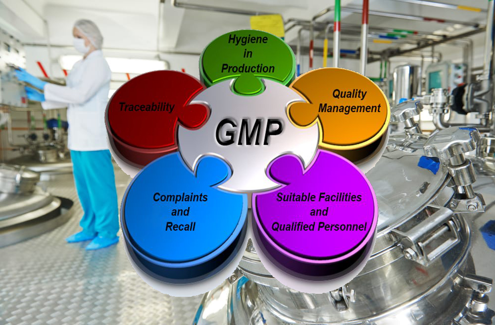 Dịch vụ Cấp chứng nhận GMP - Chứng nhận Thực hành sản xuất tốt GMP