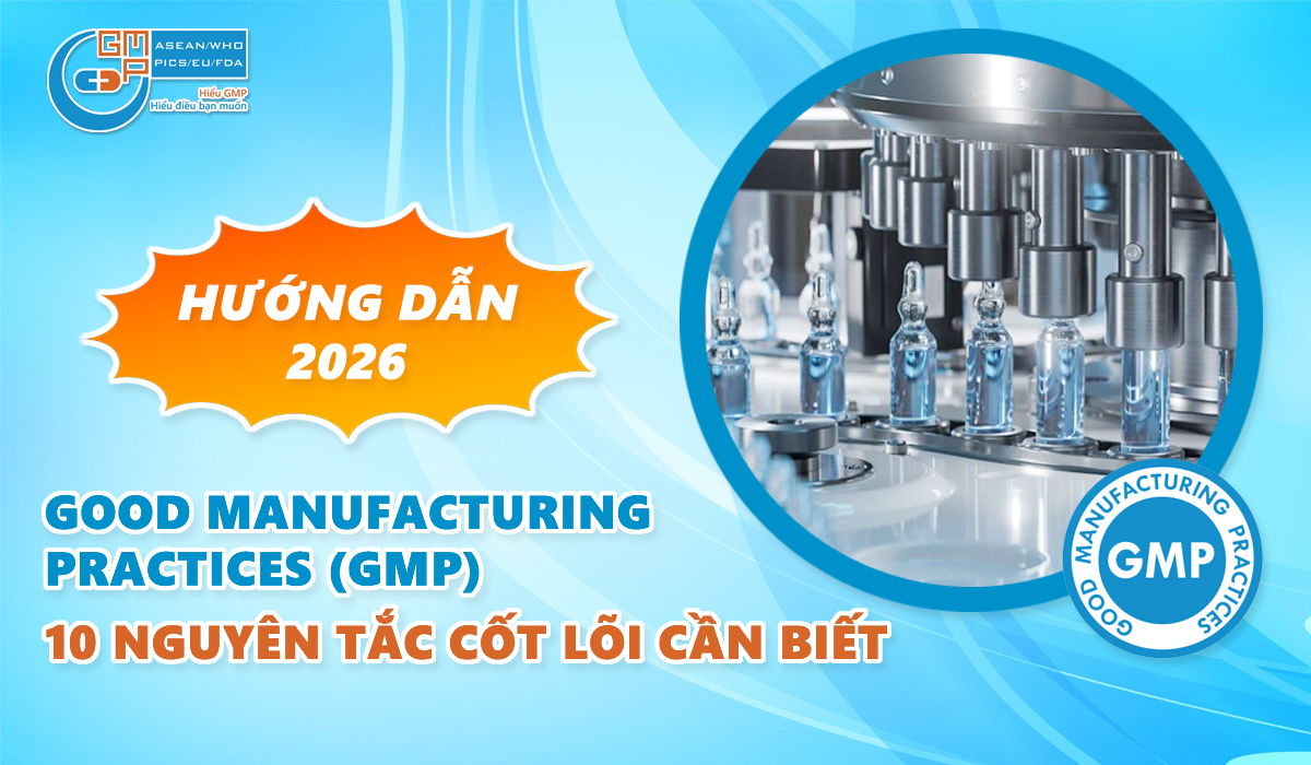 Good Manufacturing Practices (GMP): 10 Nguyên tắc cốt lõi cần biết [Hướng dẫn 2026]