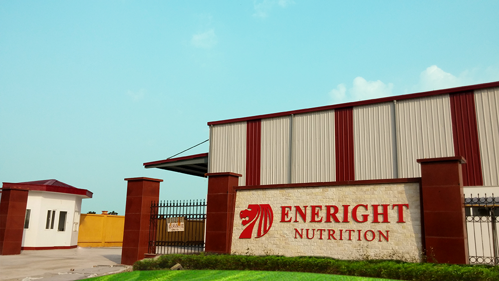 Nhà máy sản xuất sữa Eneright chứng nhận GMP - HACCP